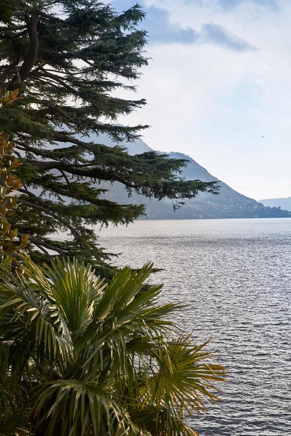 Villa Lario Lake Como Pognana Lario Ngoại thất bức ảnh